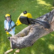 Lawn Edging in Bartonsville, MD