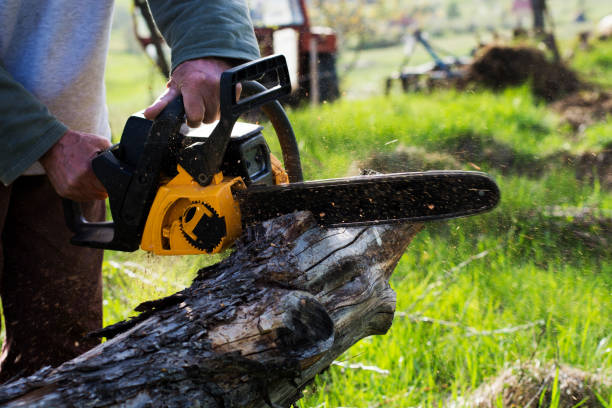 Best Leaf Removal  in Bartonsville, MD